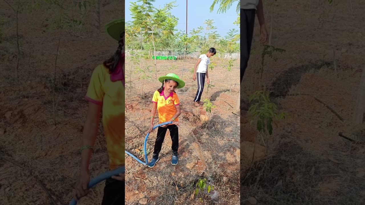 EcoProject Miyawaki forest